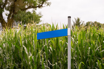Empty blue road sign. Blank street plate in front of green plants. This is a metal sheet where the name of the road is printed on. It is used for orientation and information. It can be used as mockup