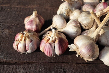 Fresh garlic bulbs on old wooden board.