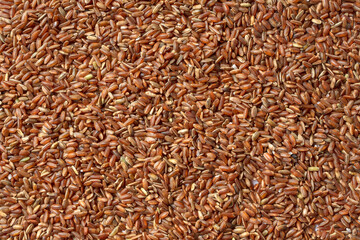 Brown rice close-up texture. Whole grain, a source of fiber and vitamins. Unpolished red rice background. A high-quality photo of cereals