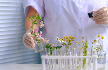woman scientist prepares sample of plants for analysis in university laboratory, studies plant dna, concept science, chemistry, biological laboratory, people professionals, natural medicine