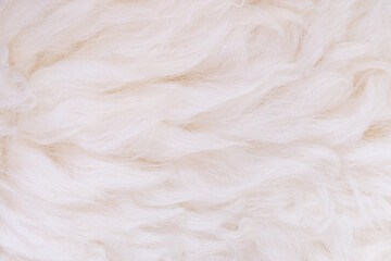 White animal fur. Weasel or cat hair. Fur clothes, white fur coat close up.
