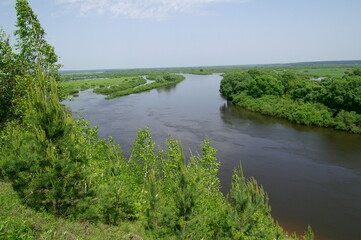 Landscape of the river surrounded by forest