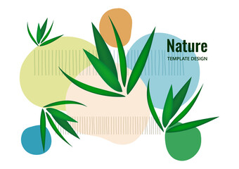 Creative flowing overlapping shapes, palm leaves. Cover for a natural product. Fashionable art for cover, poster, internet, page, social, media, postcards. Vector