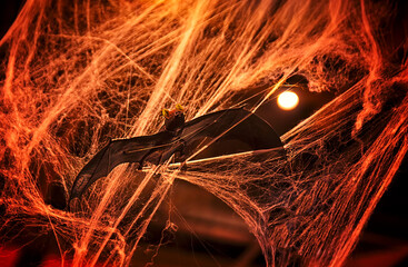 A bat entangled in a cobweb on a dark background. Halloween