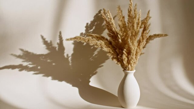 The movement of golden spikelets in the wind. Sunlight soft light and shadows from the transparent curtain, tulle. Space for text. Product presentation, mockup for advertising. 4k. High quality 4k