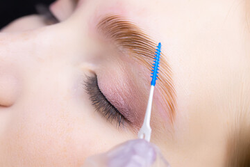 the master combs the eyebrows with a special brush after the eyebrow lamination procedure - obrazy, fototapety, plakaty