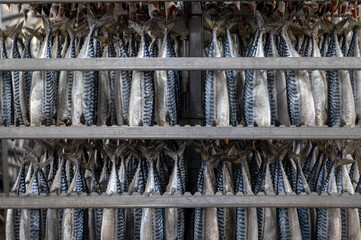 Lots of mackerel carcasses are hung in a smoking container.