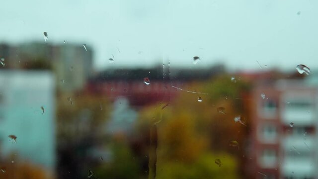 Closeup of raindrops on glass of window with background of vivid yellow and red trees on city street in soft focus. Blurry autumn trees and houses are seen through a wet window. 