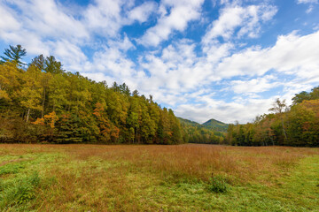 Fototapeta na wymiar Cataloochee Valley in the Smoky Mountains, North Carolina,