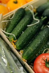 Green organic cucumbers in a box with tomato