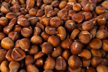 Top view of a pile of chestnuts. edible chestnuts ripe for human consumption. Autumn fruit. Feeding concept