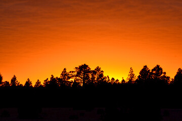 fiery sunset in arizona