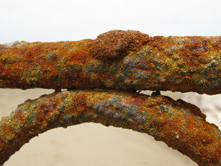 Rost in Rhodos