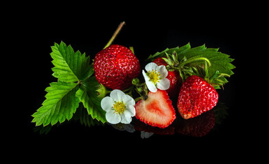 The ripe strawberries with leaves and flowers on black background. Summer sweet diet and healthy vitamin pack