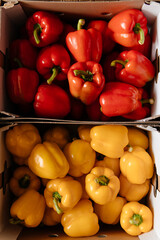 Red, yellow, and green bell peppers (capsicum) in boxes ready for sale