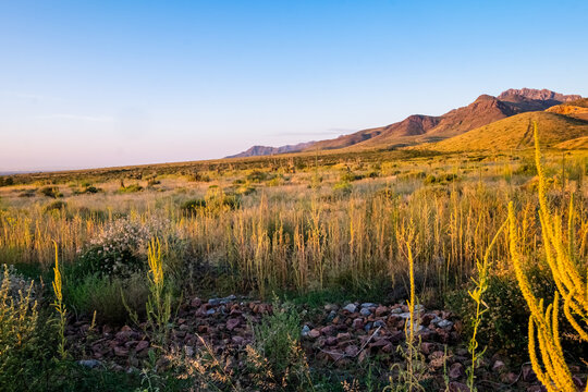 El Paso Green Desert