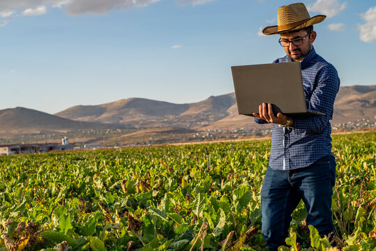 Smart Farming, Using Modern Technologies In Agriculture. Young Man Agronomist Farmer With Laptop In Sugar Beet Farm Using Apps And Internet Of Things(IOT) In Production And Agricultural Research