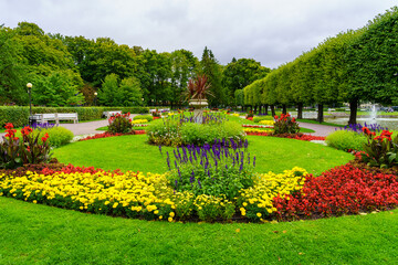 Obraz premium Park with a multitude of colorful flowers and a small fountain in the middle of the meadow.