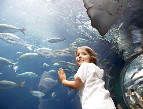 水族館で魚の水槽の前で微笑むハーフの男の子