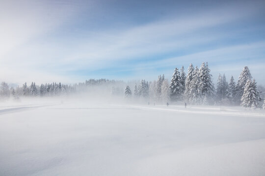 ski nordique dans la brume en hiver