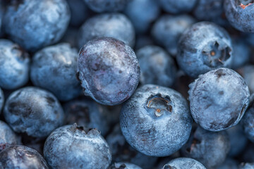 Close-up shot of delicious blueberries