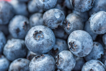Close-up shot of delicious blueberries