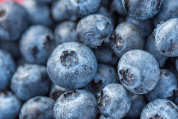 Close-up shot of delicious blueberries