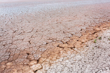 Dry and cracked ground background. Salt polluted soil with green plants. Global warming and climate change. Environmental pollution by chemical waste. Ecological catastrophe