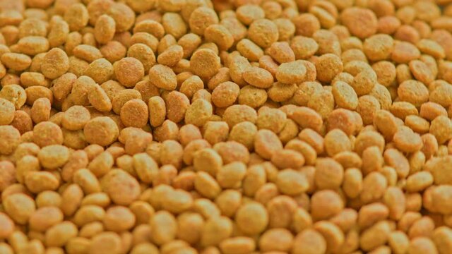 full frame loop rotating background of small dry orange cat food crockets
