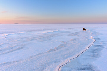 Winter landscape at sunset. Frozen lake with cracking ice. Hiking with the dog.