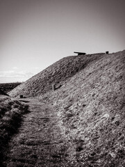 silluette of a canon