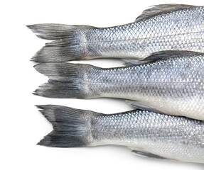 Fresh uncooked sea bass fish on white background, closeup