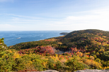 Fall Colors on the Beehive Trail in Acadia National Park in Maine