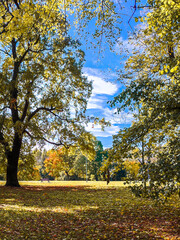 Jesień w parku © Wioleta