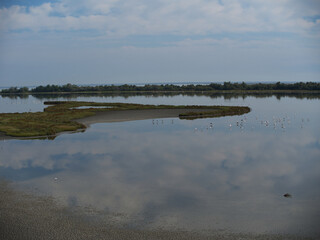 Passeggiando tra natura e bellezze. Valli di Comacchio