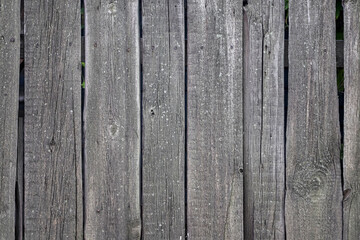 An old fence made of dried and cracked wooden panels as a background