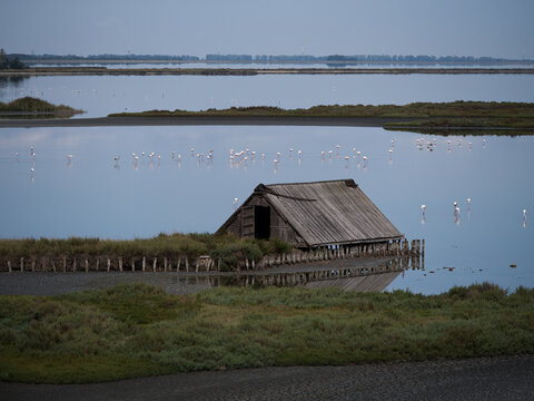 Passeggiando tra natura e bellezze. Valli di Comacchio