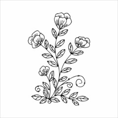 Hand drawn flower, single doodle element  for coloring, design, poster, invitation, postcard. Black and white vector image