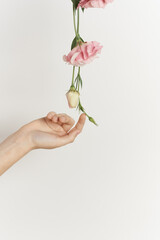 bouquet of flowers in hands close-up light background decoration beauty