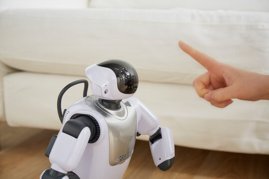 女性にしつけられているロボット