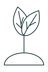 Obraz premium growth plant design