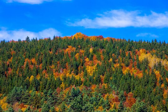 Landscape with forest in many colors on the hill in autumn © sebi_2569