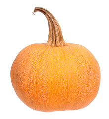 Orange ripe fresh pumpkin isolated on white background