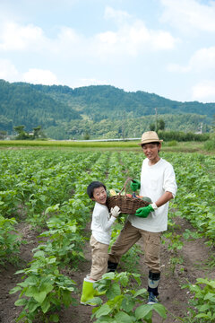 畑の中で収穫した作物を持つ父と男の子