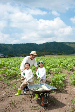 作物を乗せた１輪車を押す子供男女と父