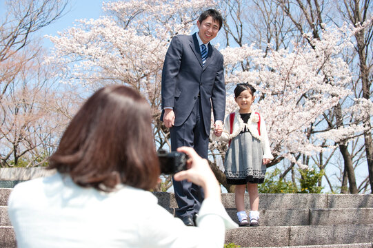 桜と新入学のランドセルの女の子と写真を撮る両親