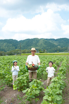 畑の中で収穫した作物を持つ父と子供男女