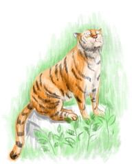 Digital tiger illustration. New year illustration. Nature art