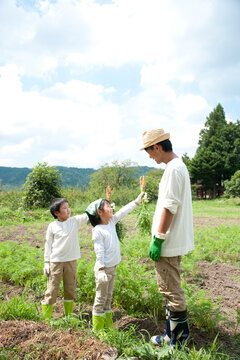 畑の中で収穫した人参を持つ子供男女と父
