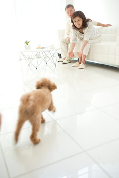 白いソファのリビングで犬と遊ぶ中高年夫婦